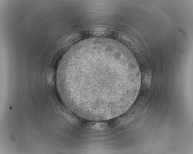 X0000111620663200908281114