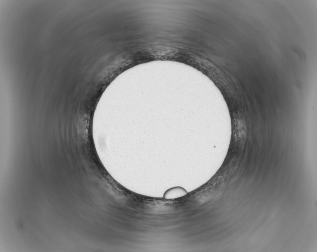 X0000111620664200908281114