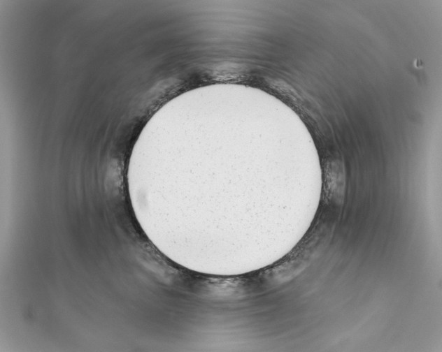 X0000111620667200908281114