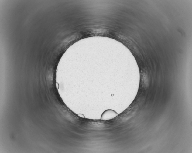 X0000111620668200908281114