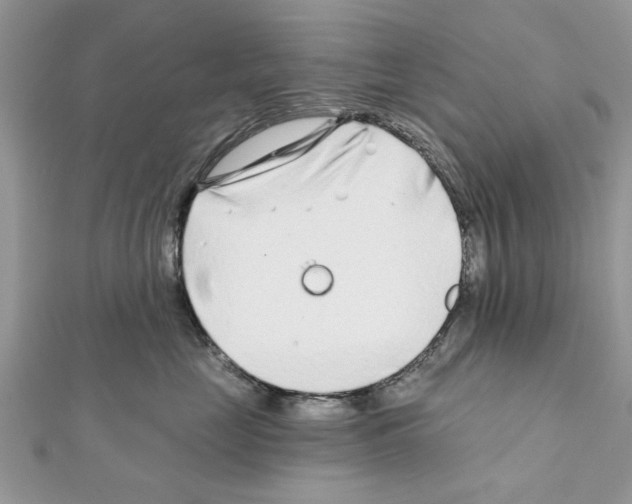 X0000111620669200908281114