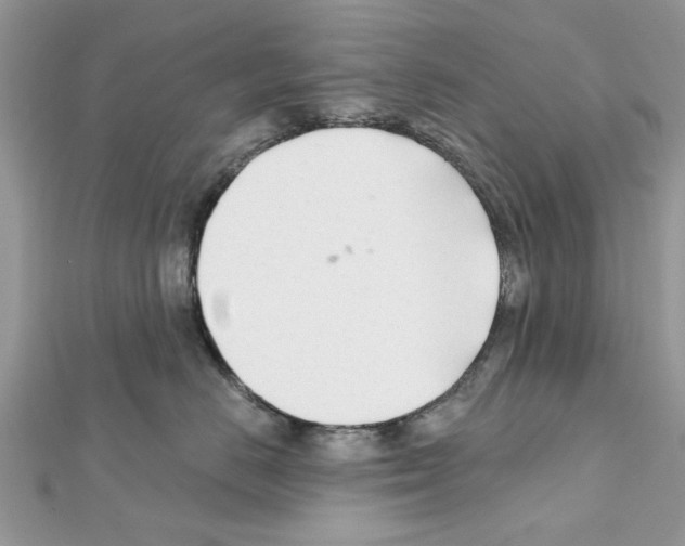 X0000111620670200908281114