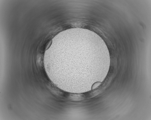 X0000111620671200908281114