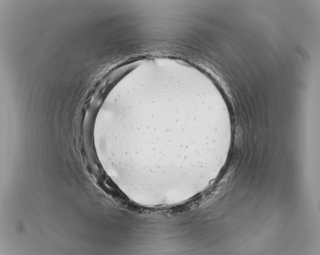 X0000111620673200908281113