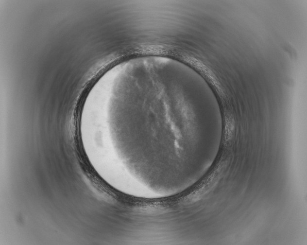 X0000111620674200908281113