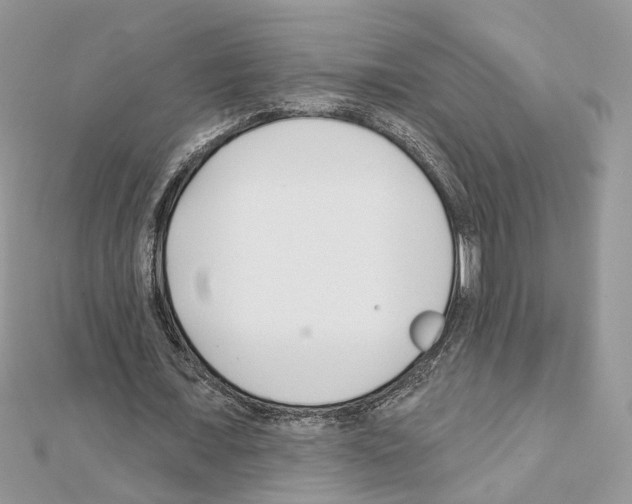 X0000111620675200908281113