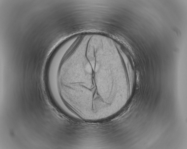 X0000111620676200908281113