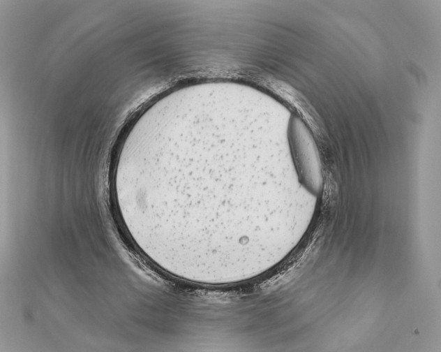 X0000111620677200908281113