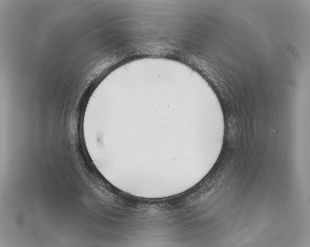 X0000111620679200908281113