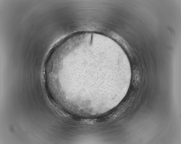 X0000111620680200908281113