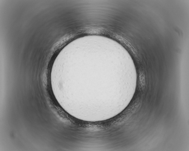 X0000111620682200908281113