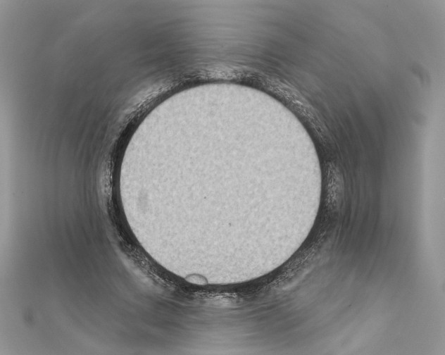 X0000111620683200908281113