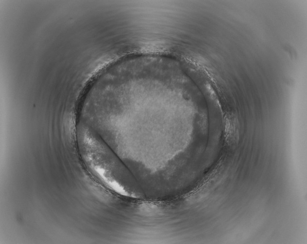 X0000111620684200908281113