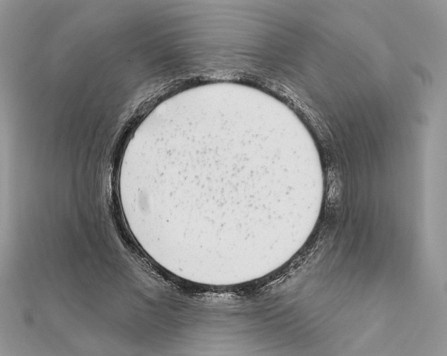 X0000111620685200908281113