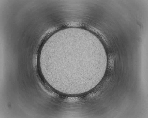 X0000111620686200908281113