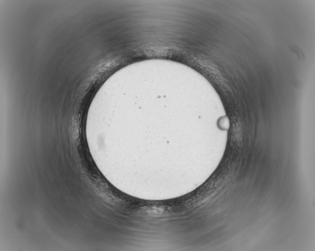 X0000111620687200908281113