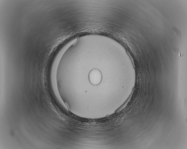 X0000111620688200908281113