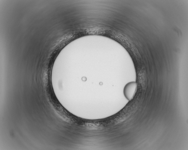 X0000111620690200908281113