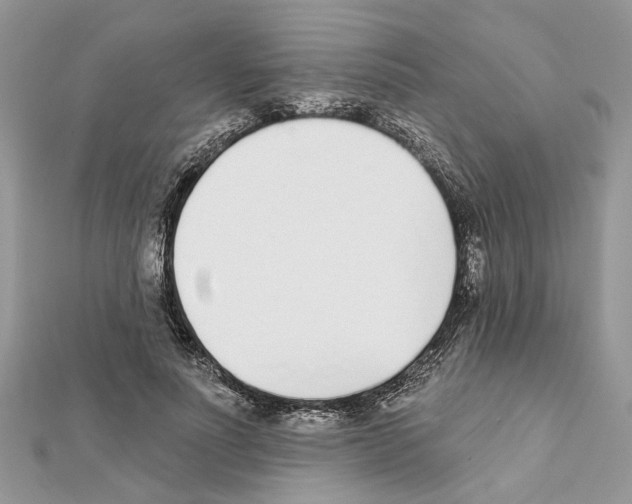 X0000111620691200908281113