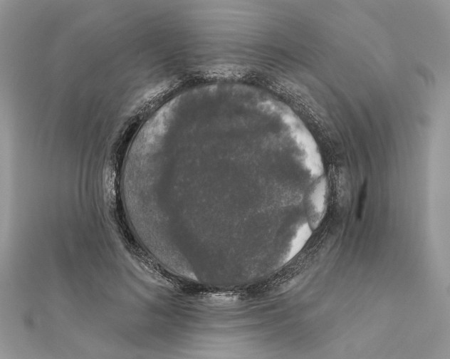 X0000111620692200908281113