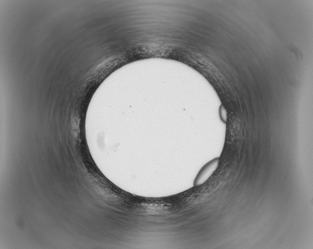 X0000111620693200908281113