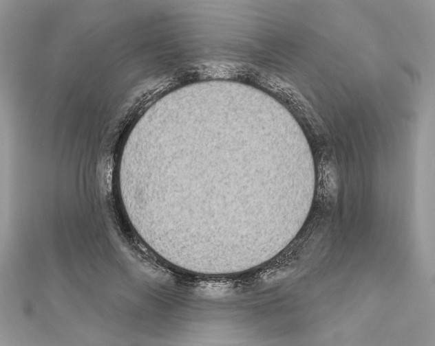 X0000111620694200908281113