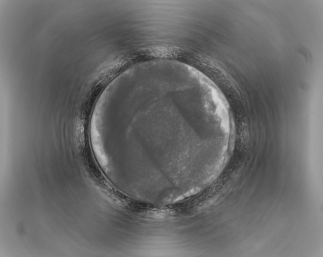 X0000111620696200908281113