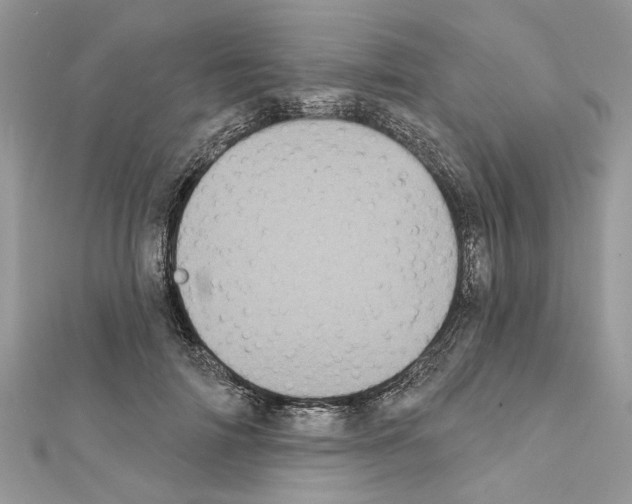 X0000111620698200908281113