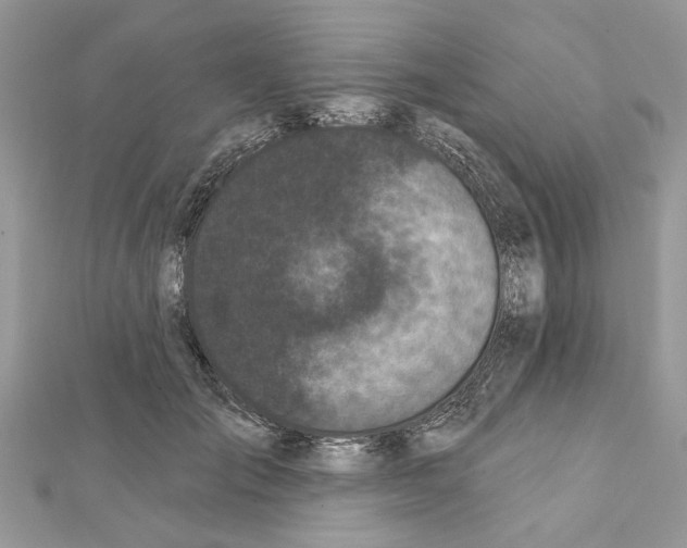 X0000111620701200908281113