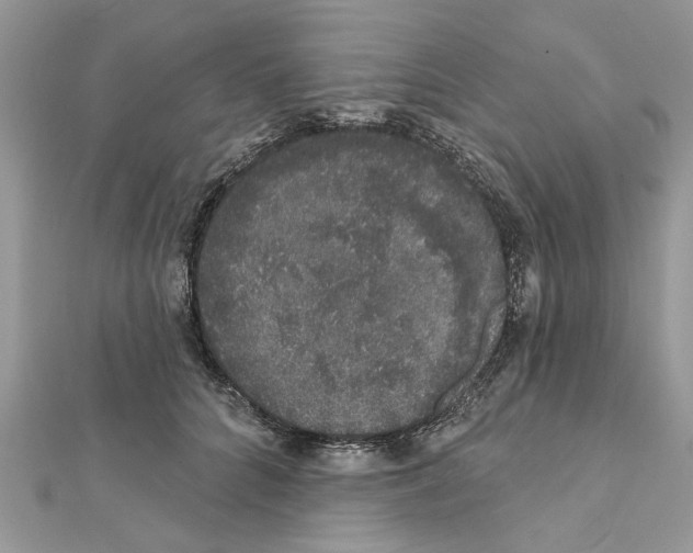 X0000111620704200908281113