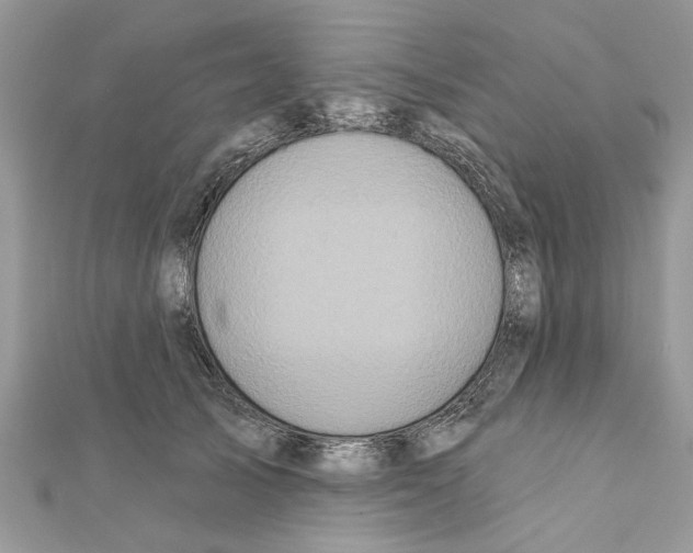 X0000111620705200908281113