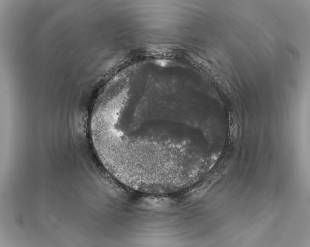 X0000111620712200908281113