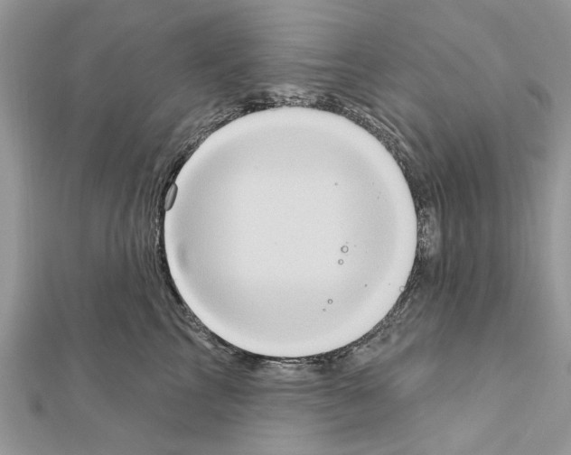 X0000111620713200908281113