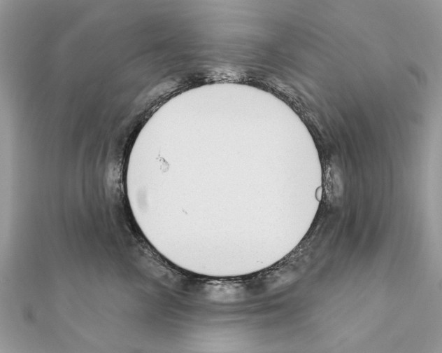 X0000111620714200908281113