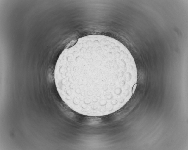 X0000111620719200908281112