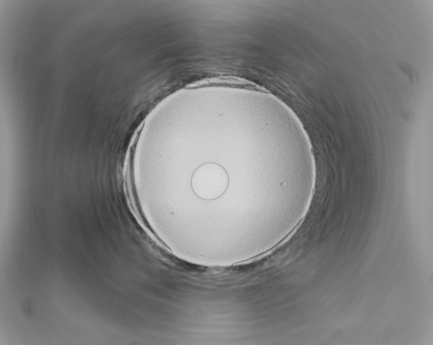 X0000111620720200908281112