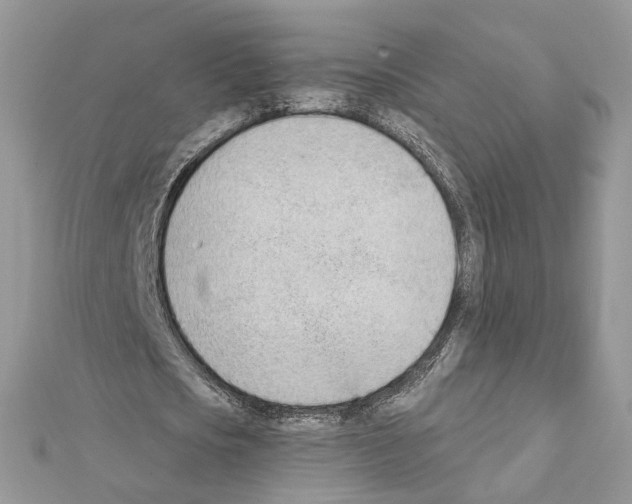 X0000111620721200908281112