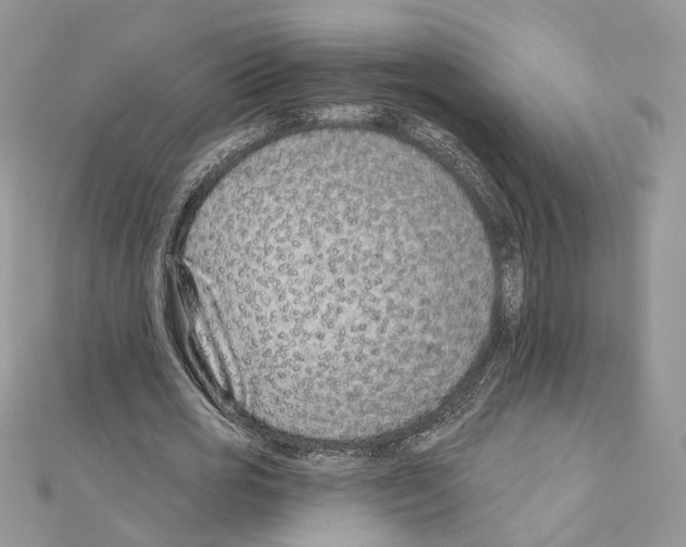 X0000111620725200908281112