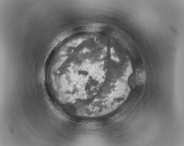 X0000111620726200908281112