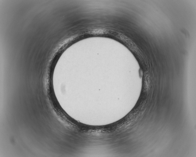 X0000111620728200908281112