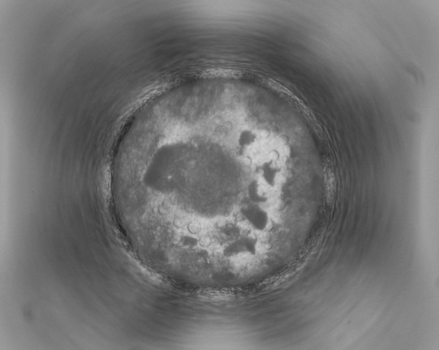 X0000111620729200908281112