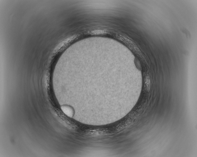 X0000111620732200908281112