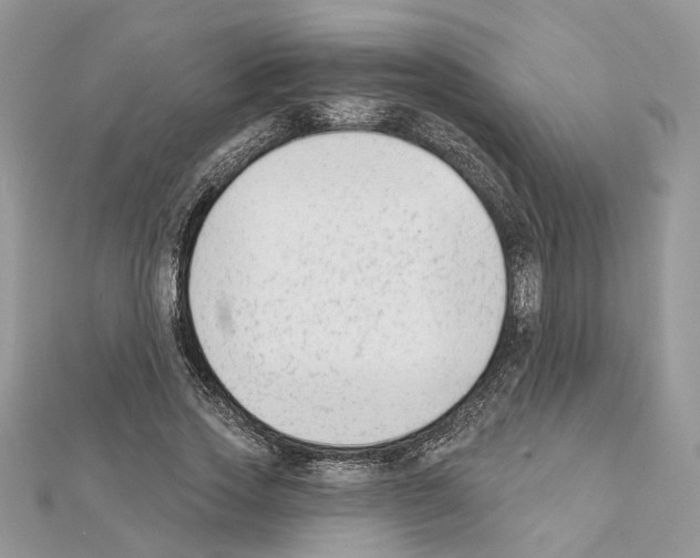 X0000111620733200908281112