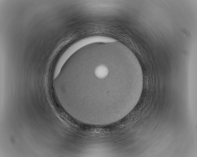 X0000111620736200908281112