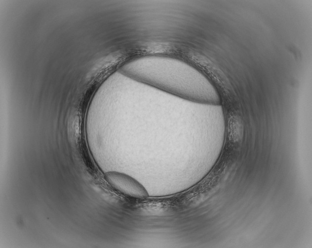 X0000111620740200908281112