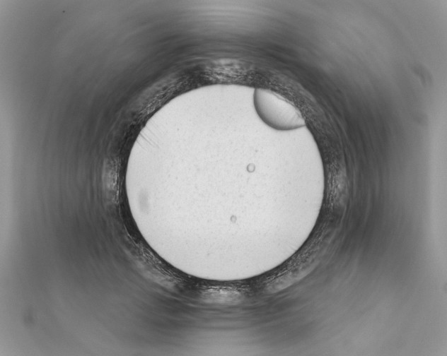 X0000111620749200908281112