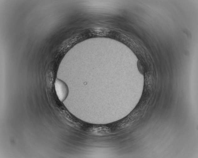 X0000111620752200908281112