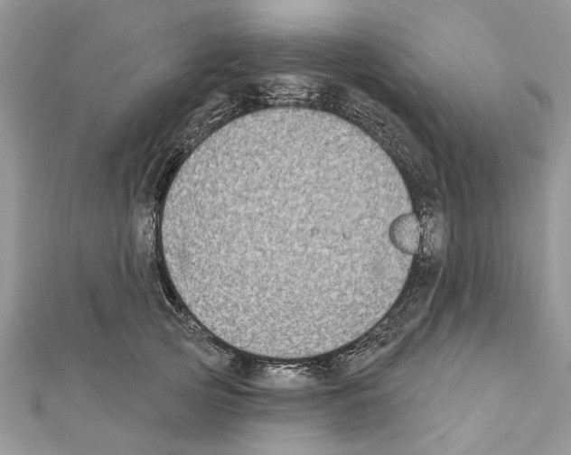 X0000111620753200908281112