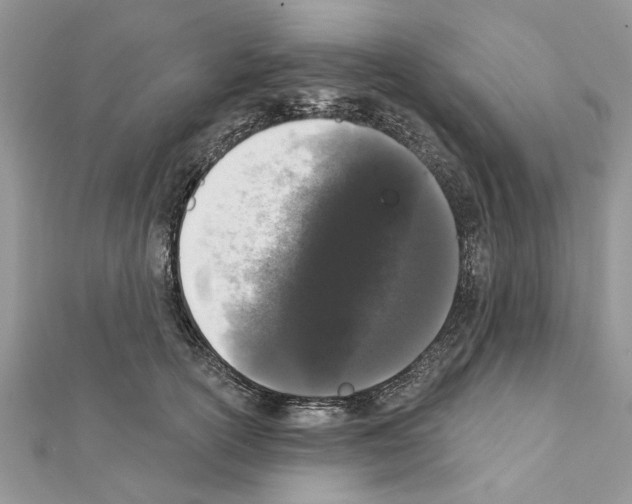 X0000111620754200908281112