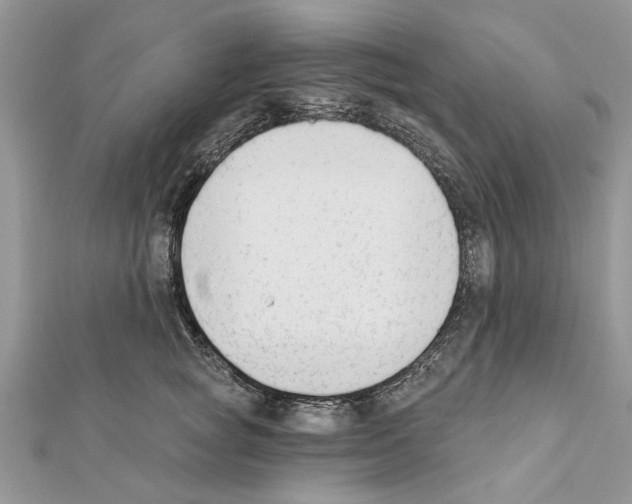 X0000111620757200908281112